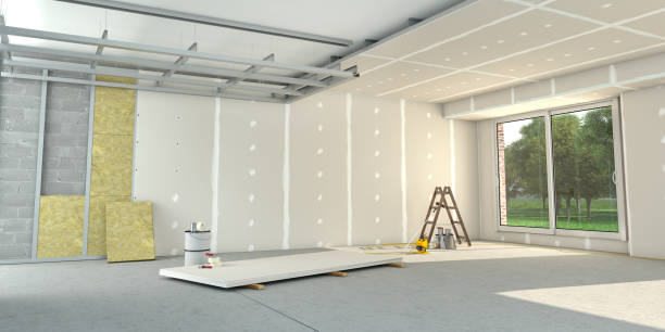 Best Insulation Removal  in Third Lake, IL