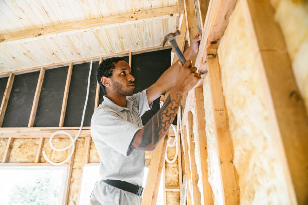 Best Energy-efficient Insulation  in Third Lake, IL