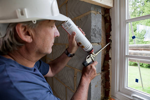 Best Professional Insulation Contractor  in Third Lake, IL