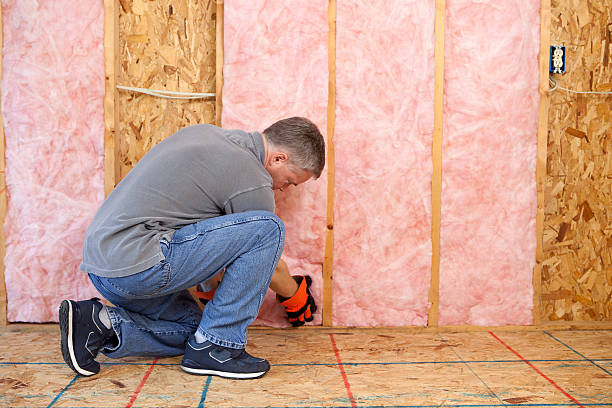 Best Insulation Contractors for Homes  in Third Lake, IL
