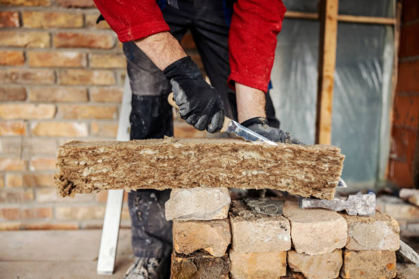 Best Insulation Contractor Near Me  in Third Lake, IL