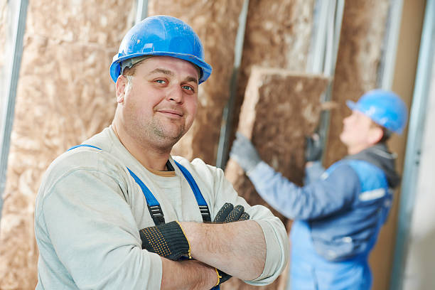 Best Insulation Contractor Near Me  in Third Lake, IL