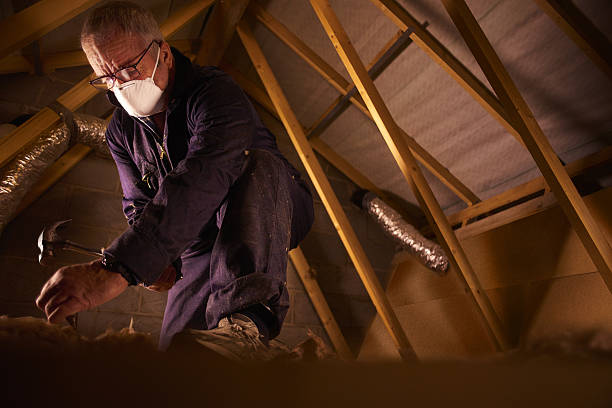 Best Insulation Removal  in Third Lake, IL
